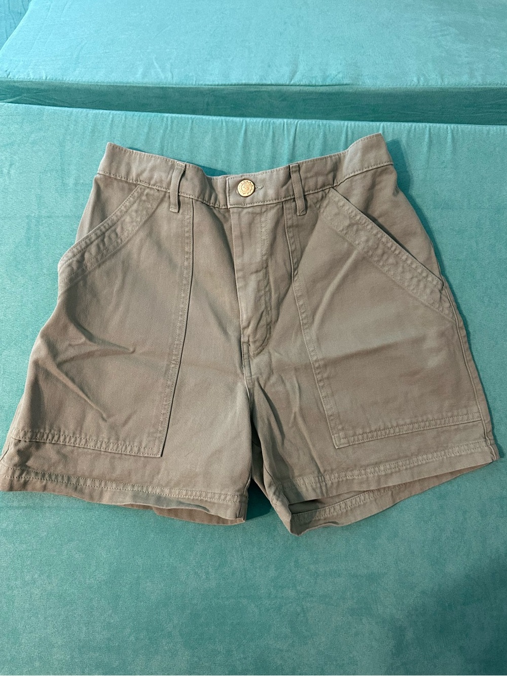 Big Bud Press Sage Green Work Shorts